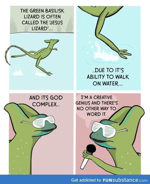 The jesus lizard
