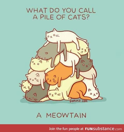 A meowtain!