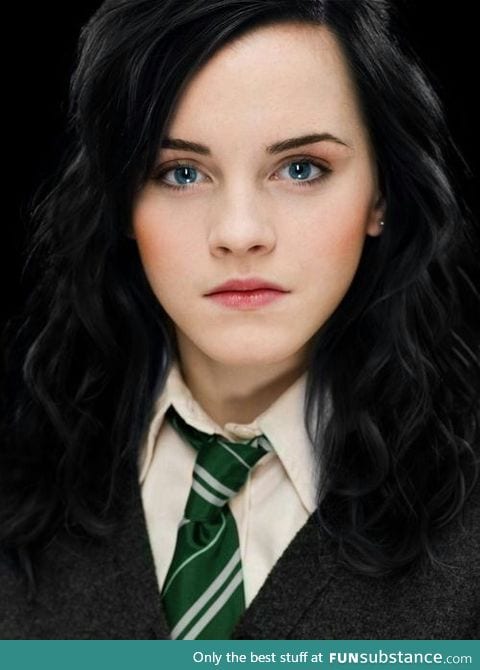 Pureblood slytherin hermione