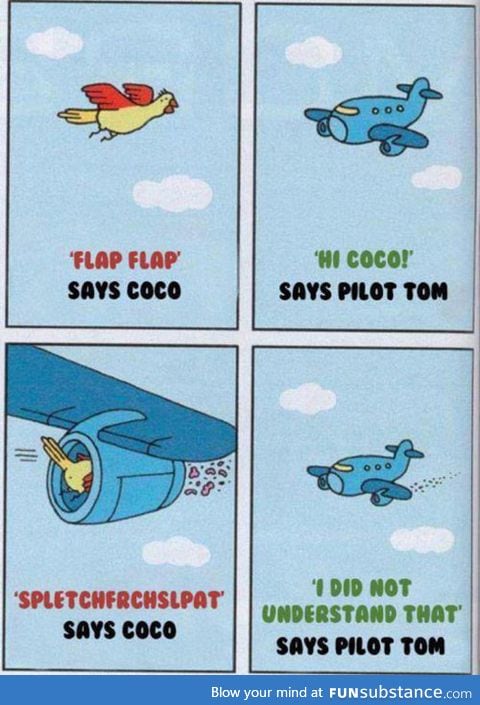 Pilot tom