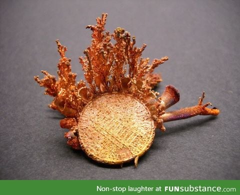 Copper crystals on a penny