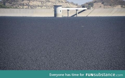 A reservoir in LA was filled with 96 million plastic balls to prevent evaporation