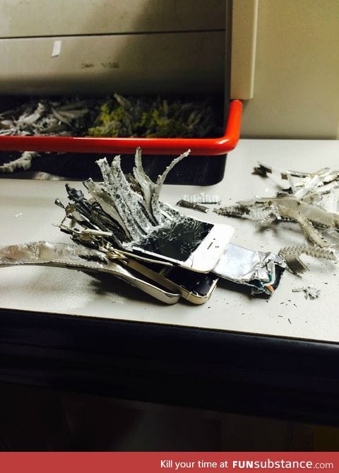 What happens when as iPhone falls into an industrial paper shredder