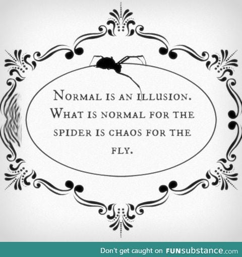 Normal is an illusion