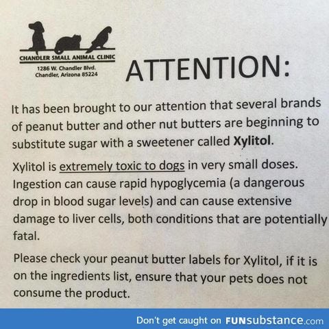 Attention dog owners