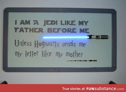 Jedi or Wizard? Like mother or like father?