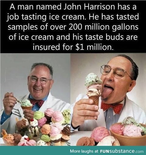 An ice cream tasting job