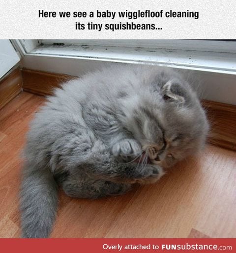 Baby wigglefloof