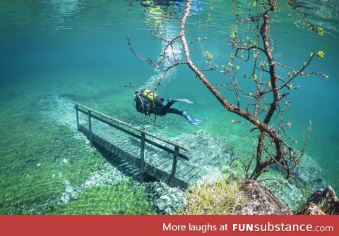 Underwater meadow