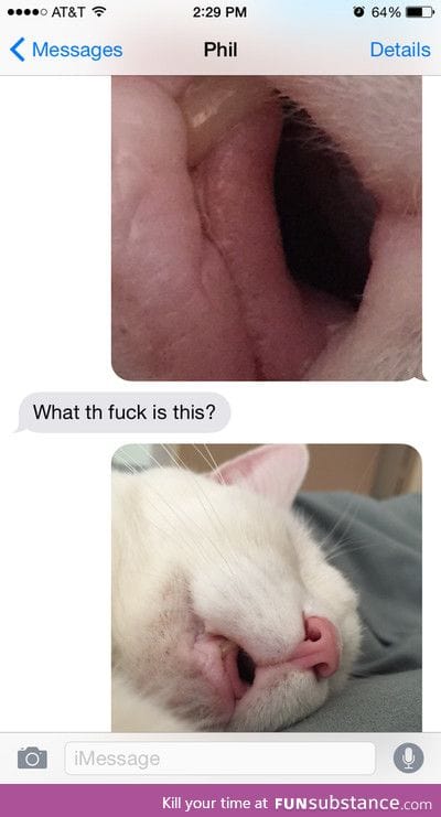 Sending weirdly cropped photos