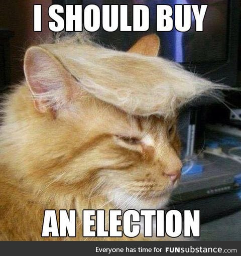 Making americat great again