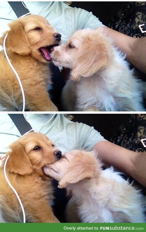 How my first kiss will go