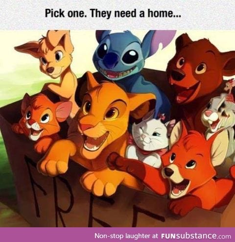 Which pet would you choose?