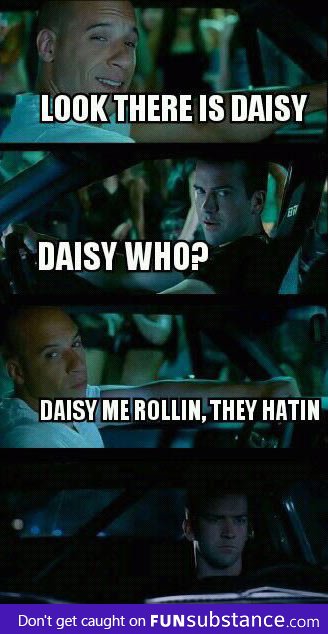 Daisy see me rollin, they hatin