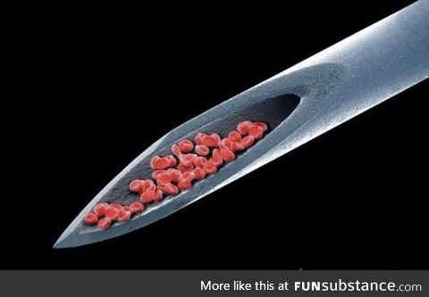 Blood cells on a syringe viewed via an Electron Microscope