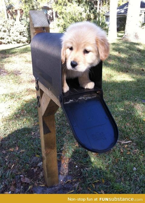 you have mail today!!!