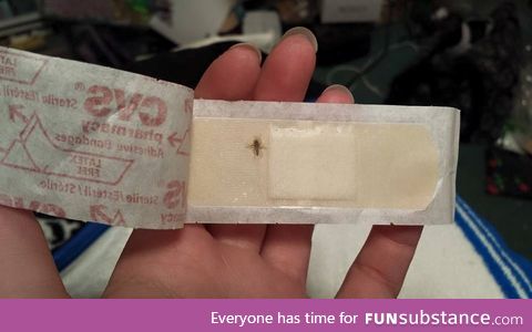 My band-aid came with free malaria