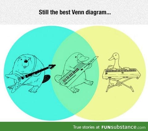 Brilliant venn diagram