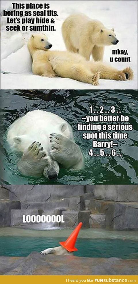 Bored polar bears