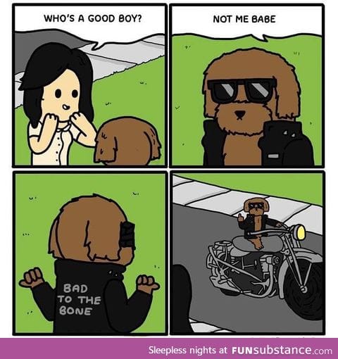 Good boy