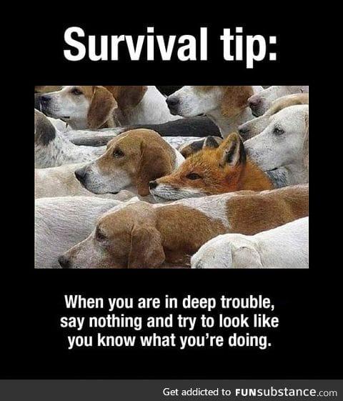 Important survival tip