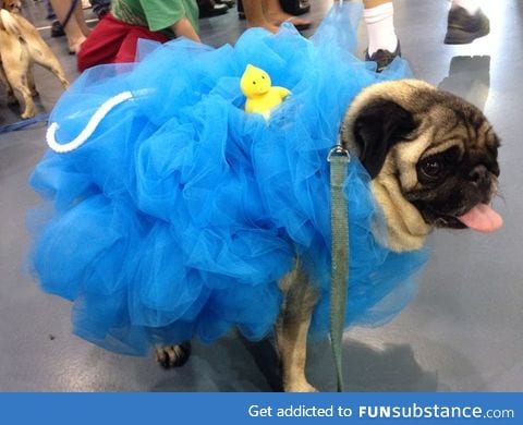 Pug Loofah Dog Costume