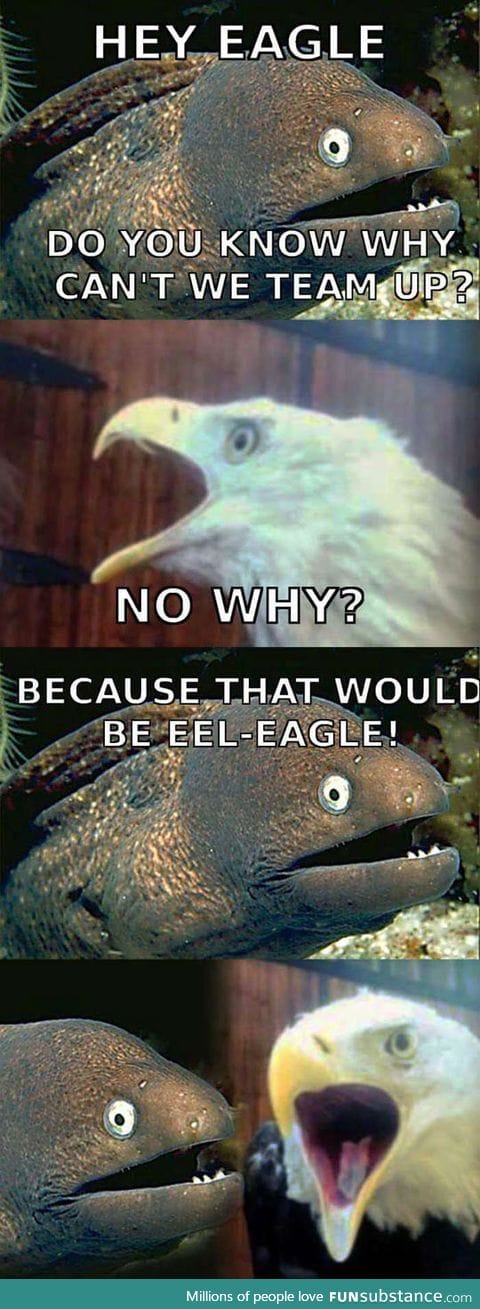 Why can't eels and eagles team up?