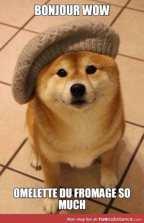 French doge