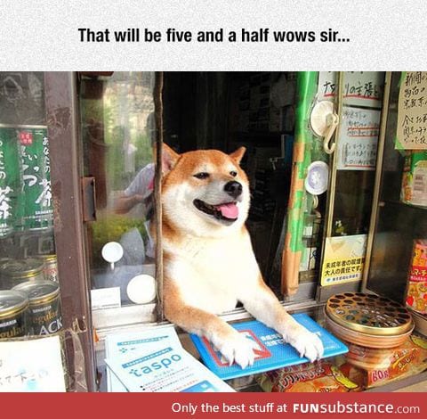 Such shop, very transaction, much pay, doge working