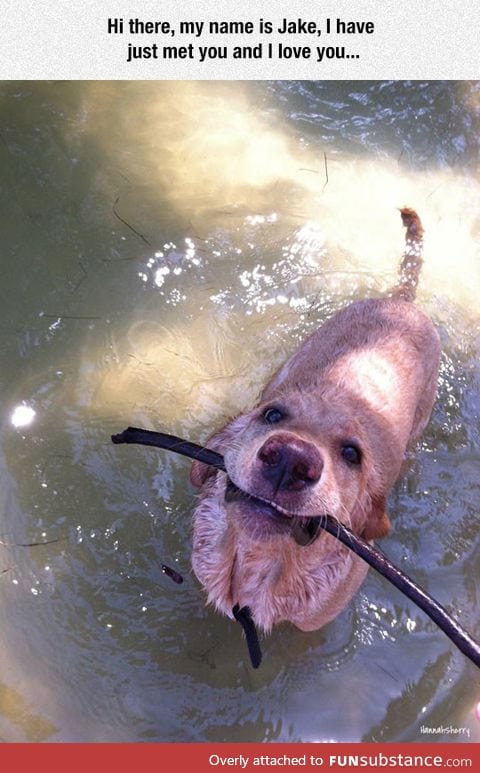 Here, take stick. Stick is love