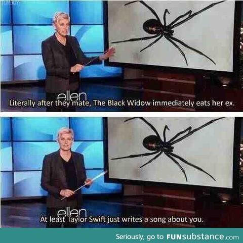 Oh Ellen.