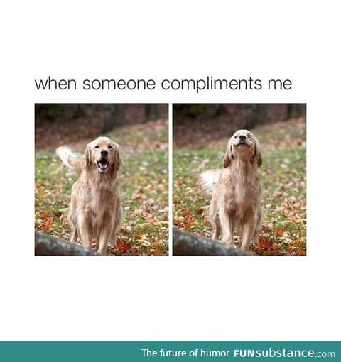 When somebody compliments me