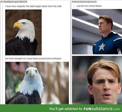 Captain America is a bald eagle pass it on