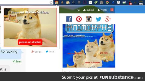 Its called doge adblocker and it changes all ads to doge ads. In the Chromestore