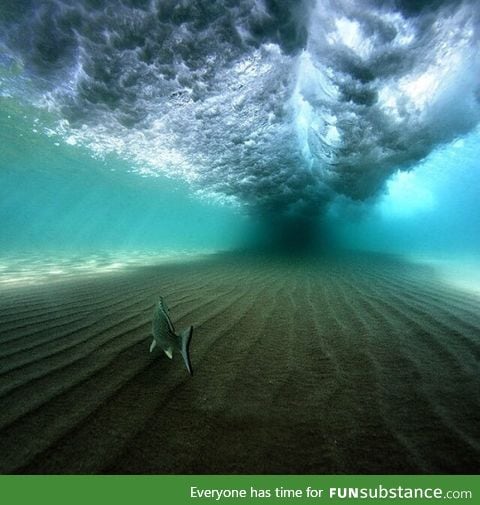 Life under the waves