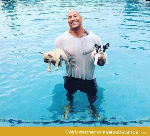 The Rock saves his two French bulldogs from drowning, like we couldn't like him