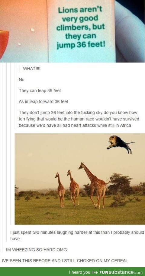 Lions are awesome