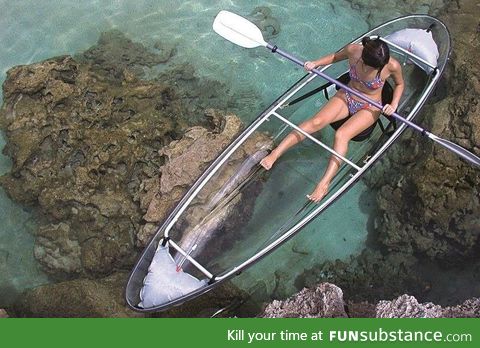 Transparent canoe to observe whatever's underneath you