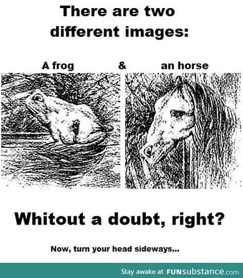 Just a frog and a horse, oh wait