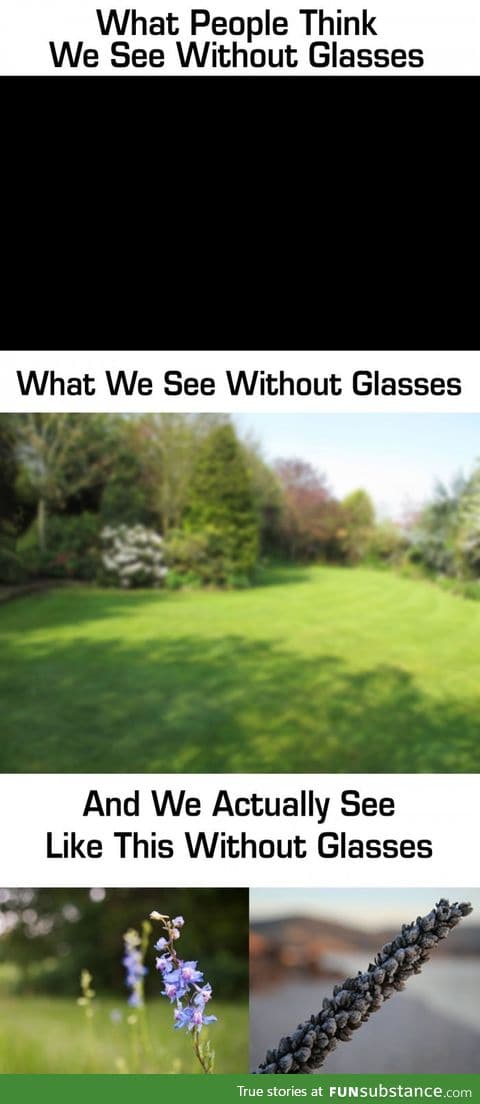 What we see without glasses
