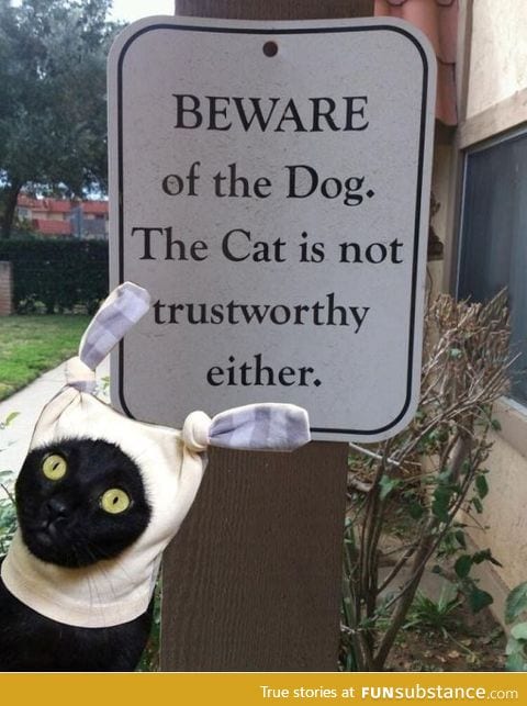 Beware ot the dog
