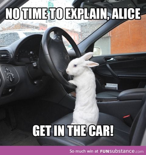 No time to explain, Alice