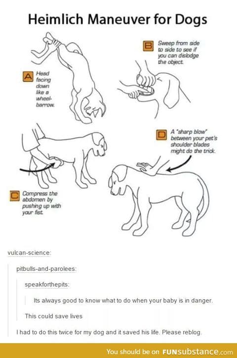 Heimlich maneuver for dogs