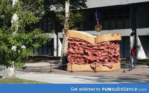 For some reason my campus bought a really big sandwich