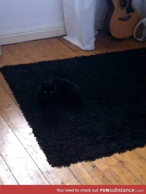 Super stealth cat