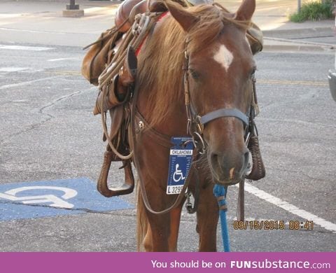 Parked at city hall, handicap permit and all