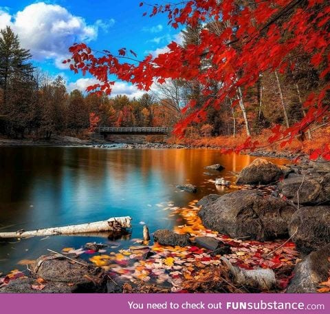 Fall in the Northeast USA