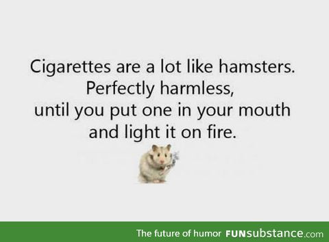 Comparing cigarettes with hamsters