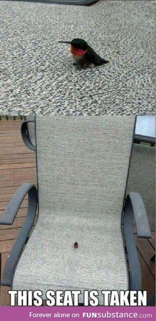 This Seat Is Taken