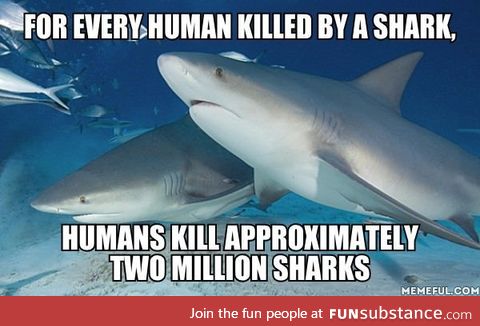 Now we just need a thriller movie about a bloodthirsty human who kills lots of sharks